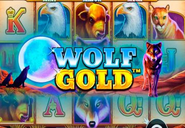 Dork Unit